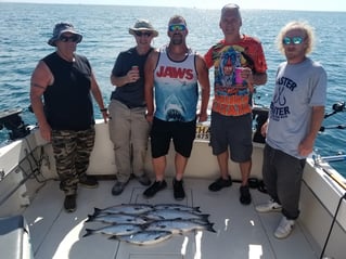 Milwaukee Sportfish Trip