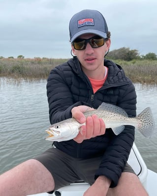 Redfish on the Fly