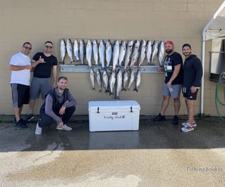 Luxury Lake Michigan Trout & Salmon