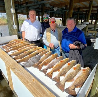 Black Drum, Redfish Fishing in Saint Bernard, Louisiana