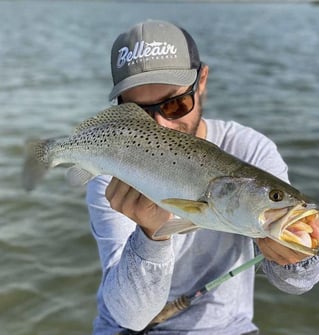 Sunny Fishing on Tampa Bay