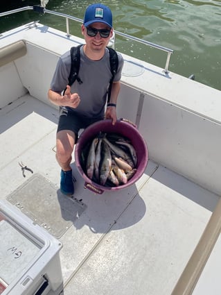 Perch and Walleye Slam