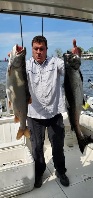 Lake Michigan Trout & Salmon