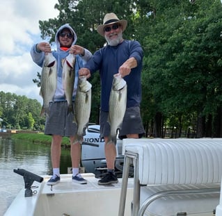 Half Day Lake Conroe