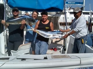 Classic Cabo Sportfish Trip