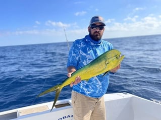 Classic Cabo Sportfish Trip