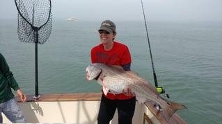 Nearshore and Jetties