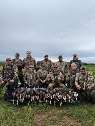 Austin, TX Quail Hunting