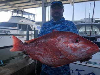 Luxury Snapper Fishing