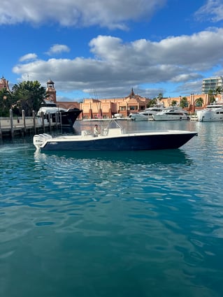 Luxury Snapper Fishing