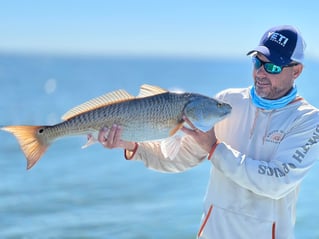 Poisson Redfish on the Fly