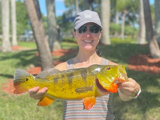 Shoreline Peacock Bass Fishing