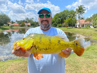 Shoreline Peacock Bass Fishing Charter