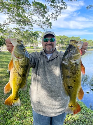 Shoreline Peacock Bass Fishing Charter