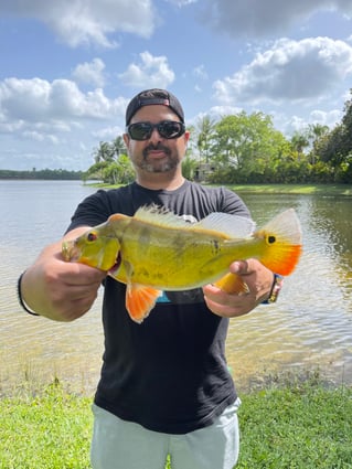 Shoreline Peacock Bass Fishing Charter