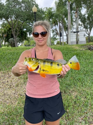 Shoreline Peacock Bass Fishing Charter