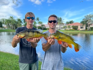 Shoreline Peacock Bass Fishing Charter