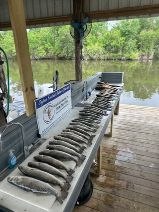 Hopedale Hookfest