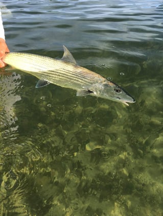 Back Country Fishing With Captain Eric Rodriguez