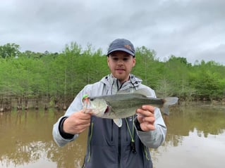 Marsh Flats on Toledo Bend