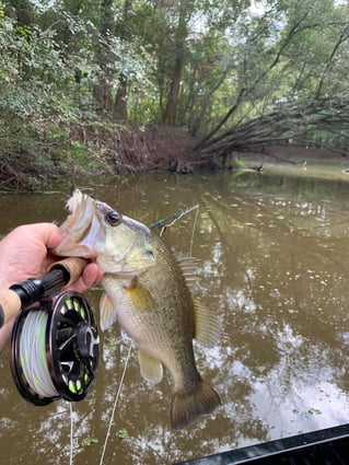 Marsh Flats on Toledo Bend