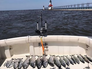 Lake Michigan with Captain Jerry