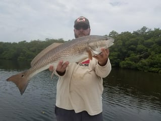 Tampa Bay Backcountry Trip