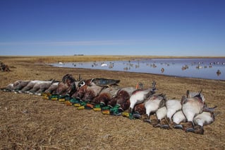 High Plains Duck Hunts