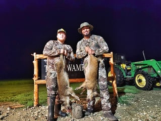 Thermal Hog Hunt Thrills