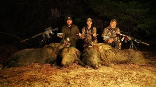 Thermal Hog Hunt Thrills