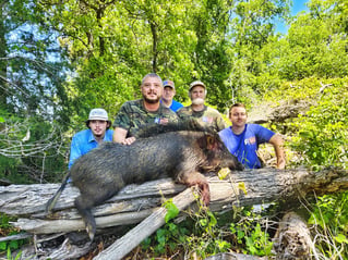 Thermal Hog Hunt Thrills