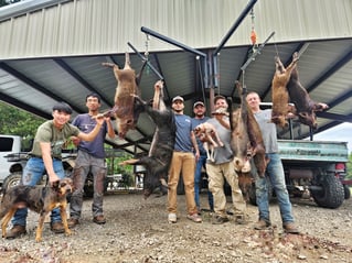 Thermal Hog Hunt Thrills