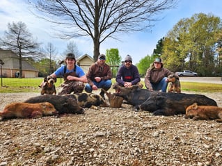 Thermal Hog Hunt Thrills