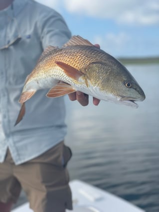 Fly Fishing East & West Matagorda Bay