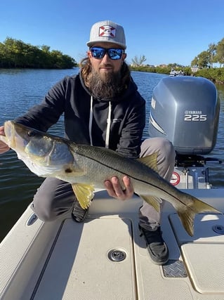 Nighttime Snapper, Snook, and Tarpon