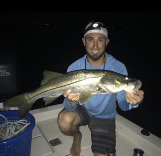 Nighttime Snapper, Snook, and Tarpon