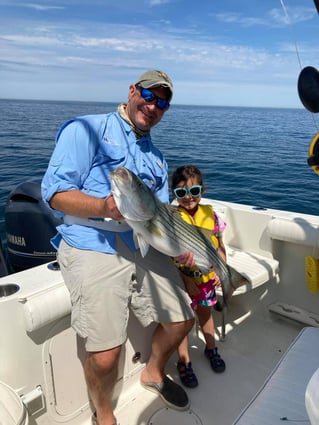 Cape Cod Bay Bass and Bluefish trip