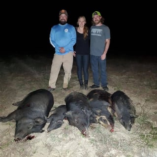 Night Vision Hog Hunts