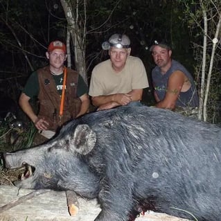 Night Vision Hog Hunts