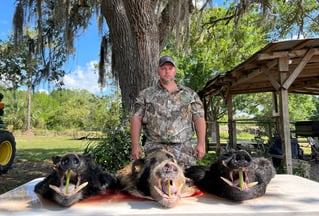 Do it Yourself Hog Hunts