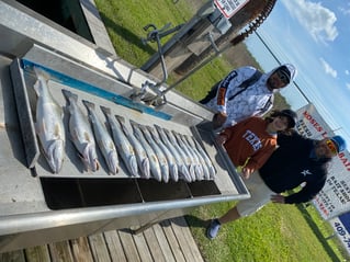 Galveston Bay Grab Bag