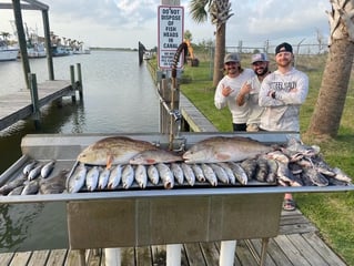 Galveston Bay Grab Bag