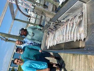 Galveston Bay Grab Bag