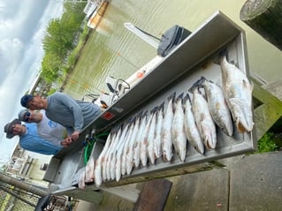 Galveston Bay Grab Bag