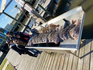 Galveston Bay Grab Bag