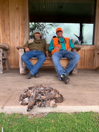 Bobwhite Quail Hunting Adventure