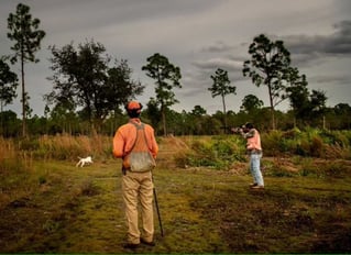 Bobwhite Quail Hunting Adventure