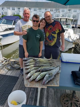 Lake Erie Walleye Run