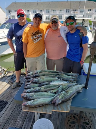 Lake Erie Walleye Run