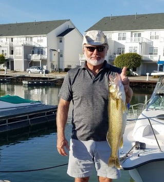 Lake Erie Walleye Run